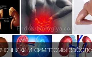 Надпочечники симптомы заболевания у мужчин диагностика и лечение