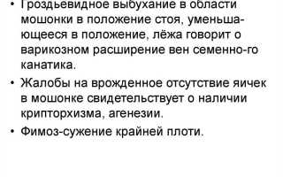 Семиотика и методы диагностики в урологии