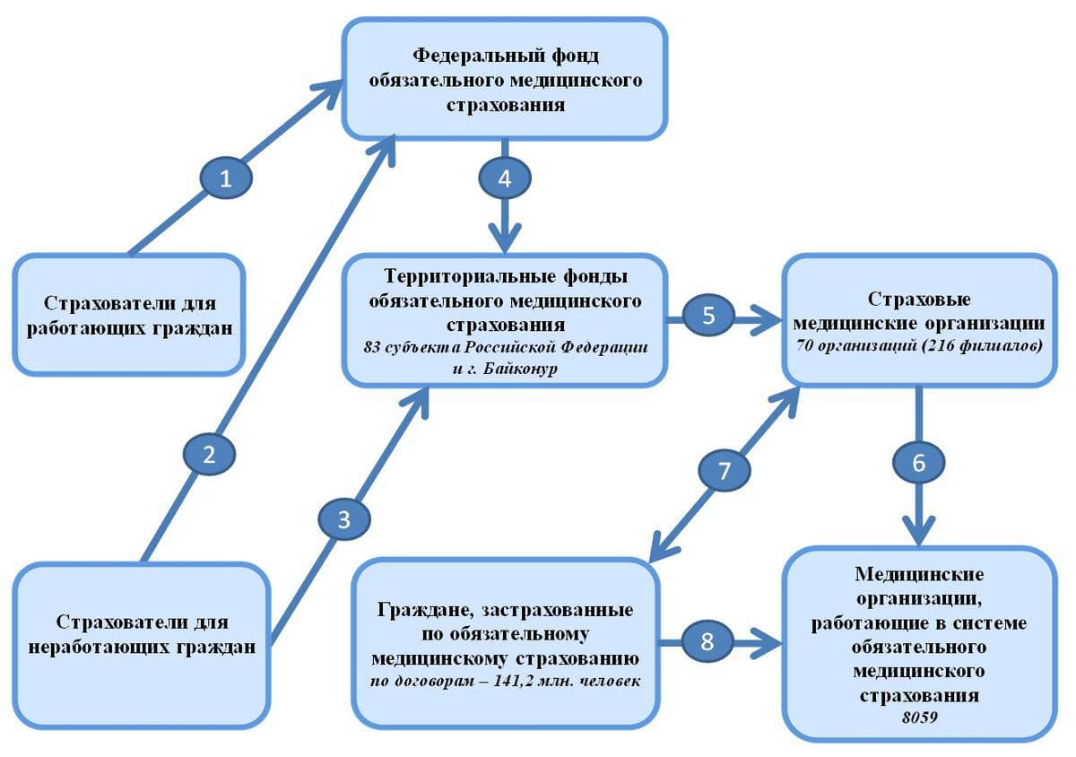 урология по бесплатному полису